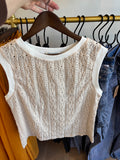Sweater Vest